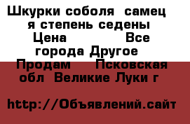 Шкурки соболя (самец) 1-я степень седены › Цена ­ 12 000 - Все города Другое » Продам   . Псковская обл.,Великие Луки г.